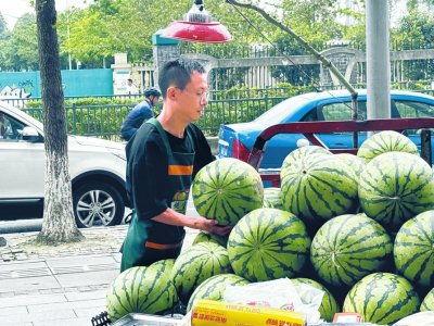 摆摊网红吃瓜视频下载大全,摆摊界的趣味盛宴下载大全