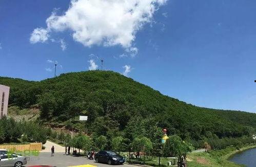 长春莲花山最新爆料,揭秘神秘古墓群背后的历史秘密